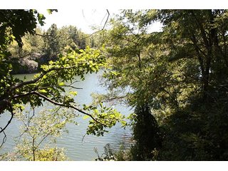 Property photo 32 - 419 +/- Acres offered in 6 Tracts, Land Auction